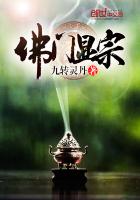端木绯小说