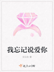 陆鸣的小说