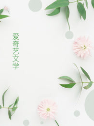 最佳女婿备忘录