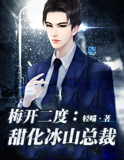 总裁追妻宠不停