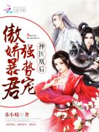 上门佳婿