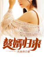 赘婿归来方泽